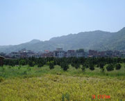 美姑天气预报