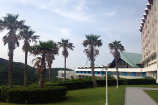 伊良湖天气预报