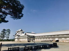 金泽天气预报