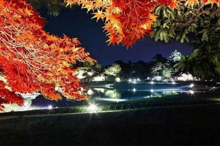 佐贺天气预报