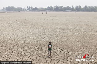 库图布迪亚天气预报