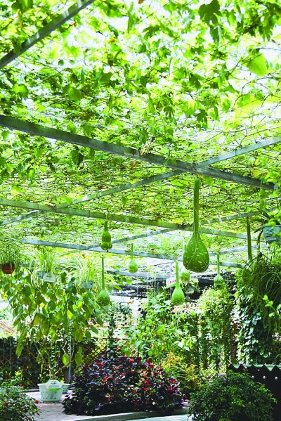 实验农场天气预报