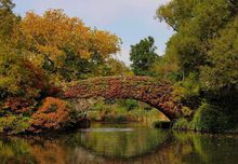 乞拉朋齐天气预报