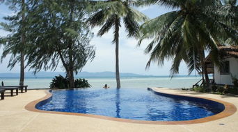 萨拉纳天气预报