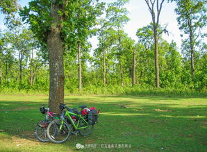 戈勒克布尔天气预报