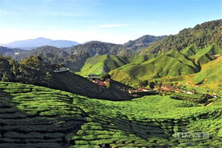 金马伦高原天气预报