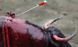 阿帕里天气预报