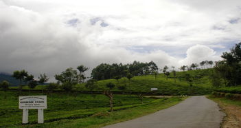 班德勒韦勒天气预报