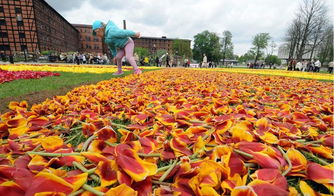 彼得哥什天气预报