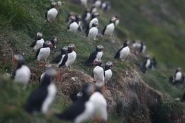 格雷姆塞岛天气预报