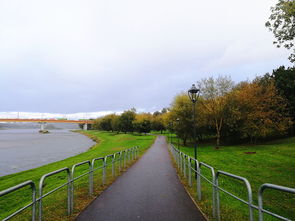 考纳斯天气预报