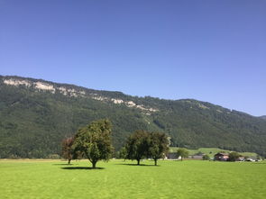 皮拉图斯山天气预报