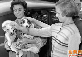 斯特列尔卡天气预报