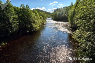 梅德韦日耶戈尔斯克天气预报