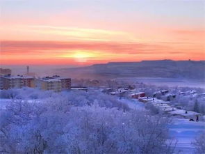 基律纳天气预报
