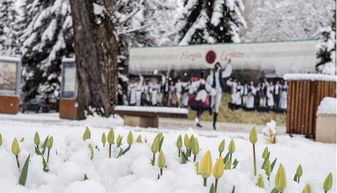 米耶尔库雷亚丘克天气预报