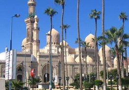 亚历山大港天气预报