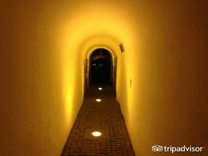 锡比乌天气预报