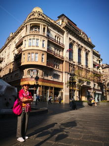 谢尼察天气预报