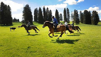 纳沙泰尔天气预报