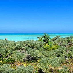 拉斯图纳斯天气预报