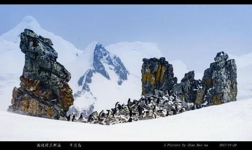 半月岛天气预报