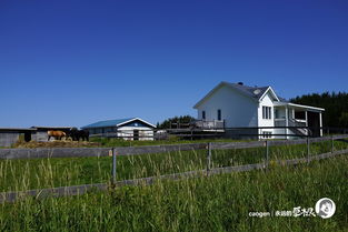 瓦勒多天气预报