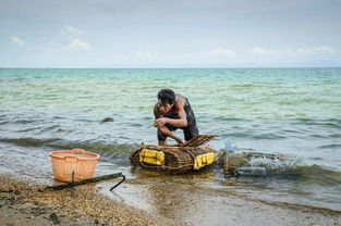 白马市天气预报