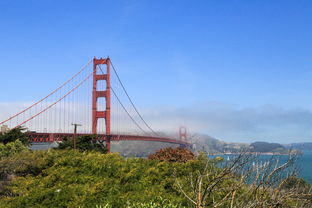 蒙特雷天气预报