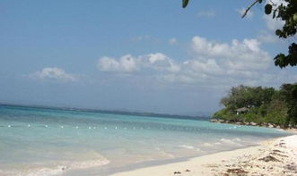 布卢菲尔兹天气预报