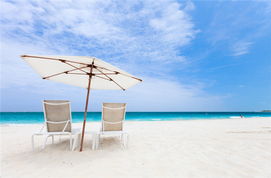 普罗维登西亚莱斯天气预报