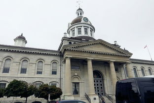 金斯顿天气预报