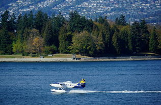 温哥华港天气预报