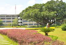 鲁雷纳瓦克天气预报