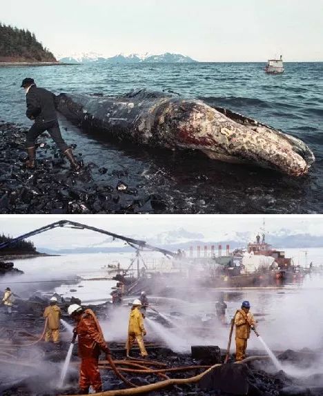 瓦尔迪兹天气预报