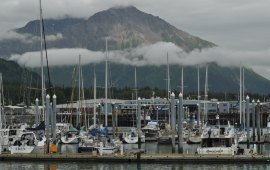 苏华德天气预报