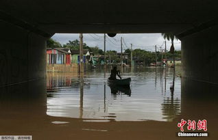 科维哈天气预报