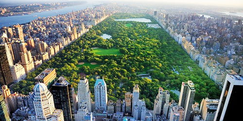 中央公园天气预报