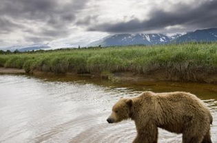 萨蒙王村天气预报
