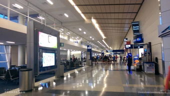 达拉斯机场天气预报