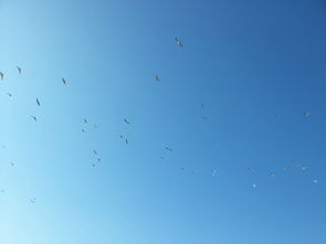 查尔斯顿天气预报