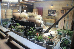 坎皮纳斯天气预报