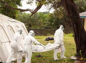 基西杜古天气预报