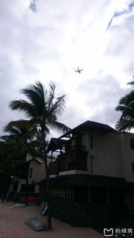 罗德里格斯岛天气预报