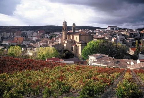 里奥哈天气预报