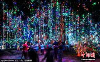 索罗卡巴天气预报