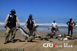 齐克拉约天气预报