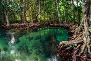 摩尔礁天气预报