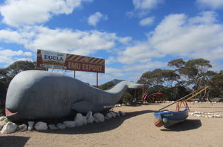 尤克拉天气预报