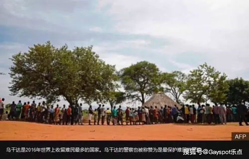 基戈马天气预报